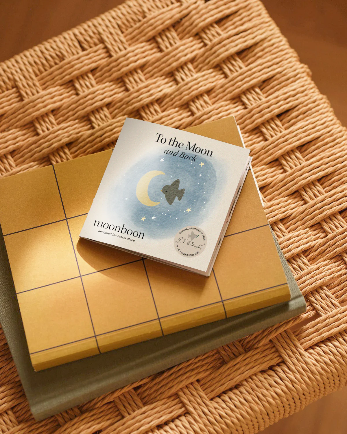 Miniatuur 2
